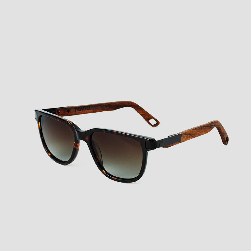 Specta Sunglasses - Tortoise Brown