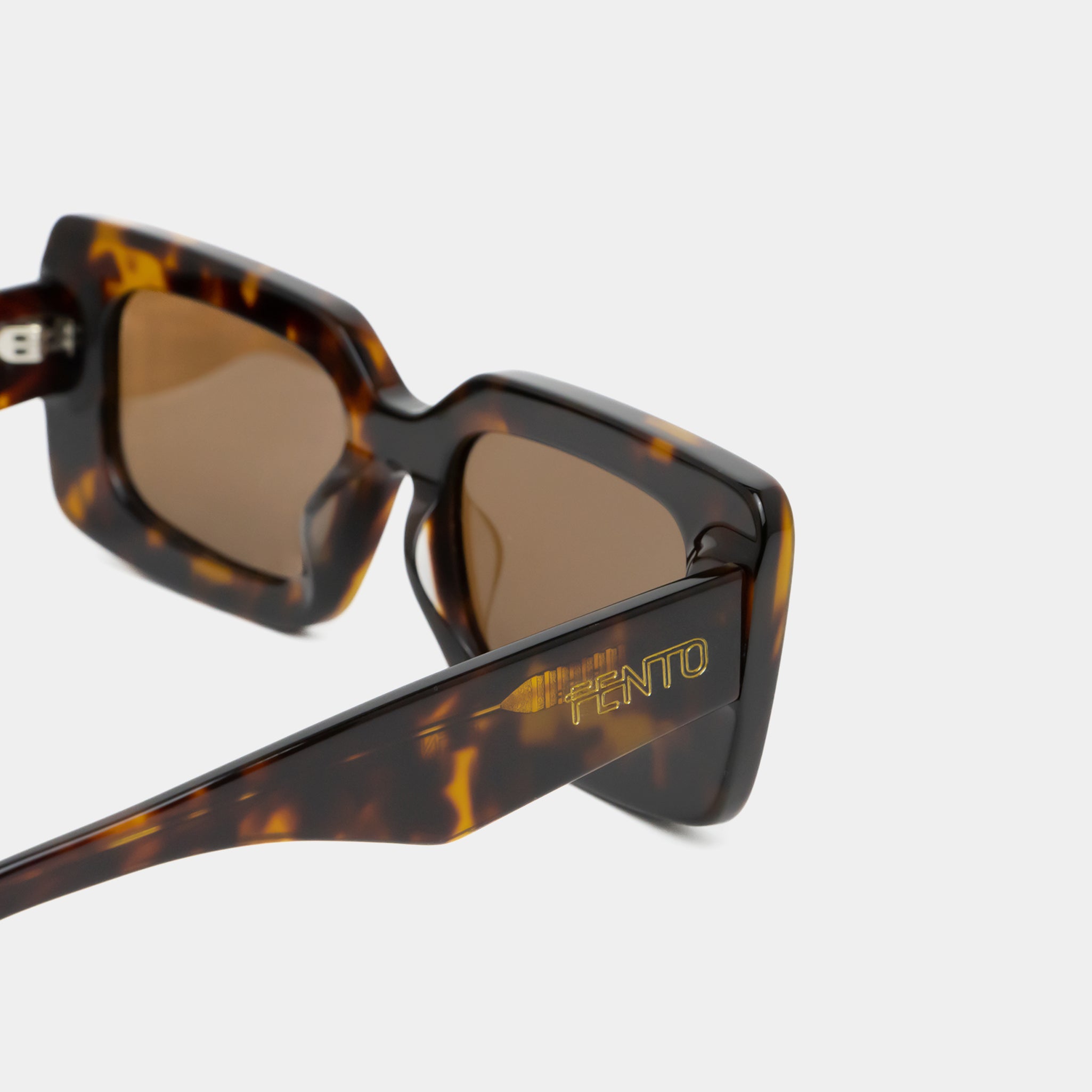 Cameron Sunglasses - Tortoise