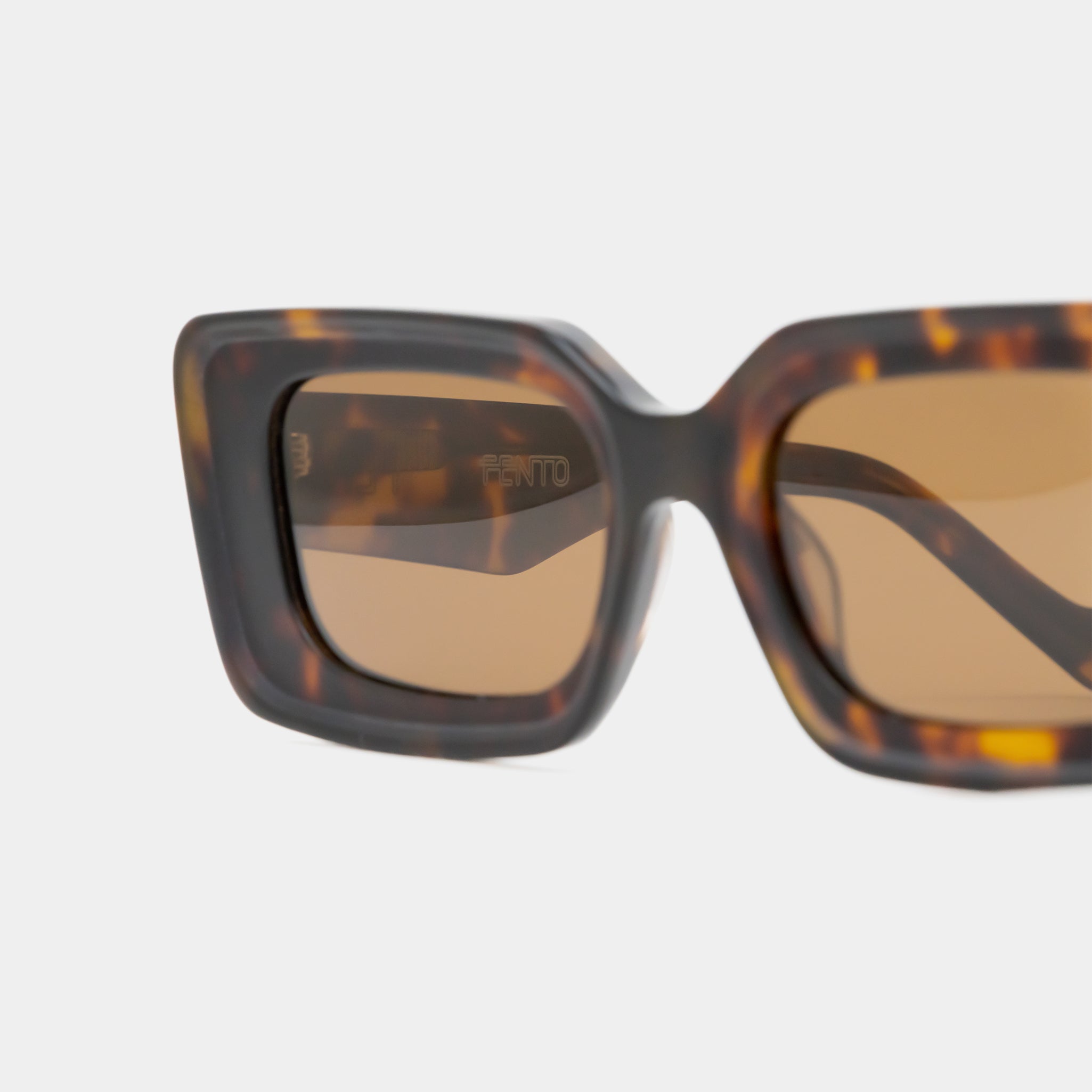 Cameron Sunglasses - Tortoise