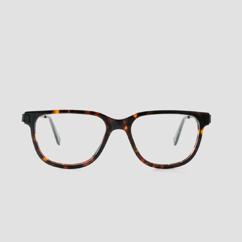 Specta Eyeglasses - Tortoise
