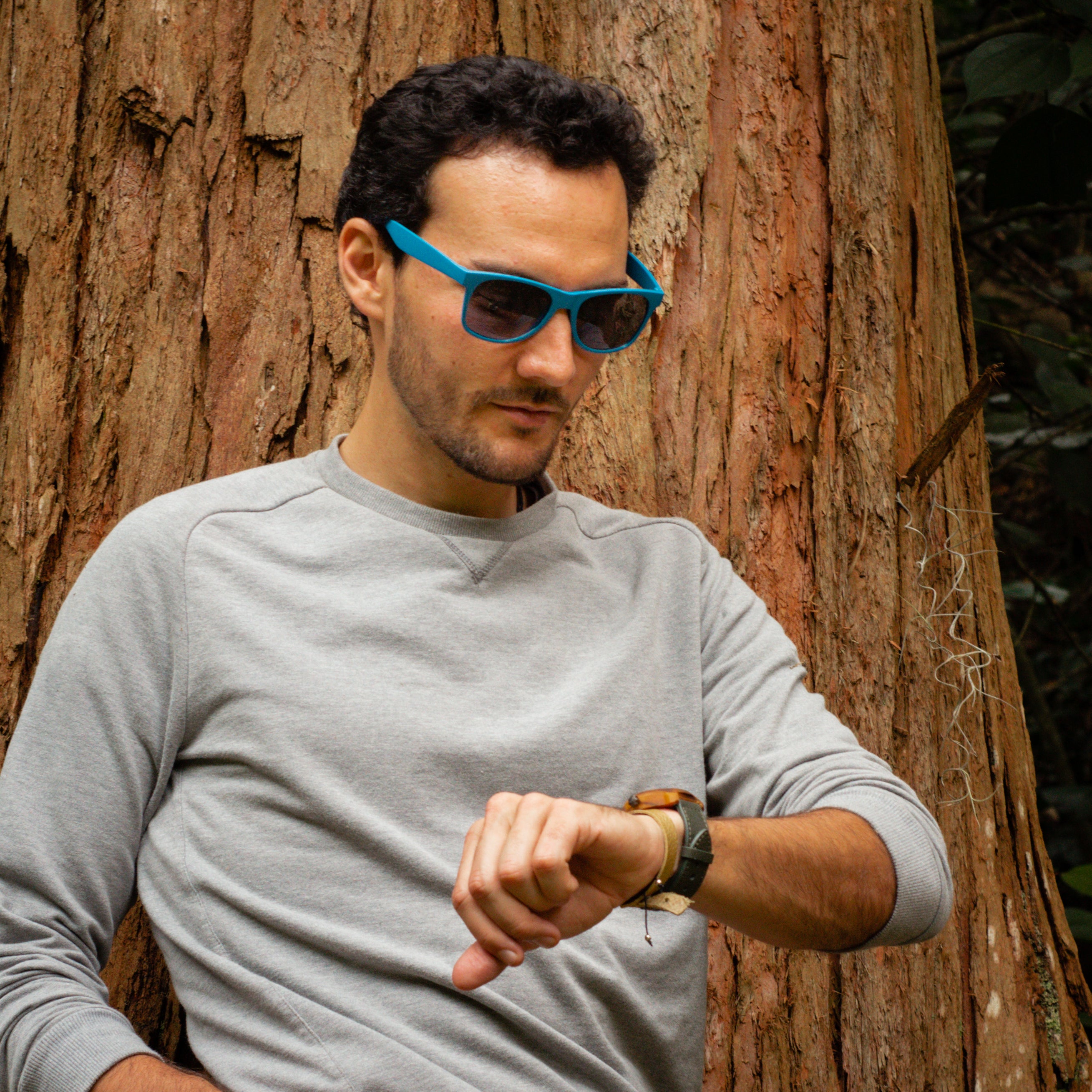 Wayfarer Wheat Sunglasses - Blue