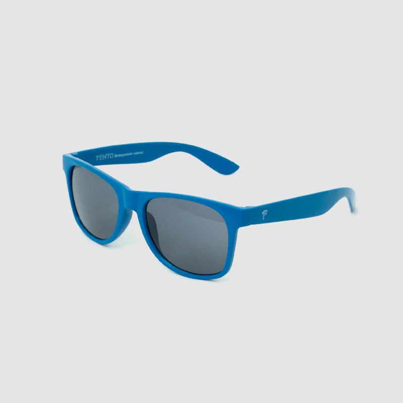 Wayfarer Wheat Sunglasses - Blue