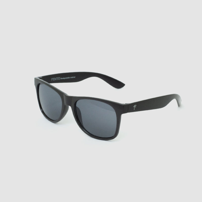 Wayfarer Wheat Sunglasses - Black