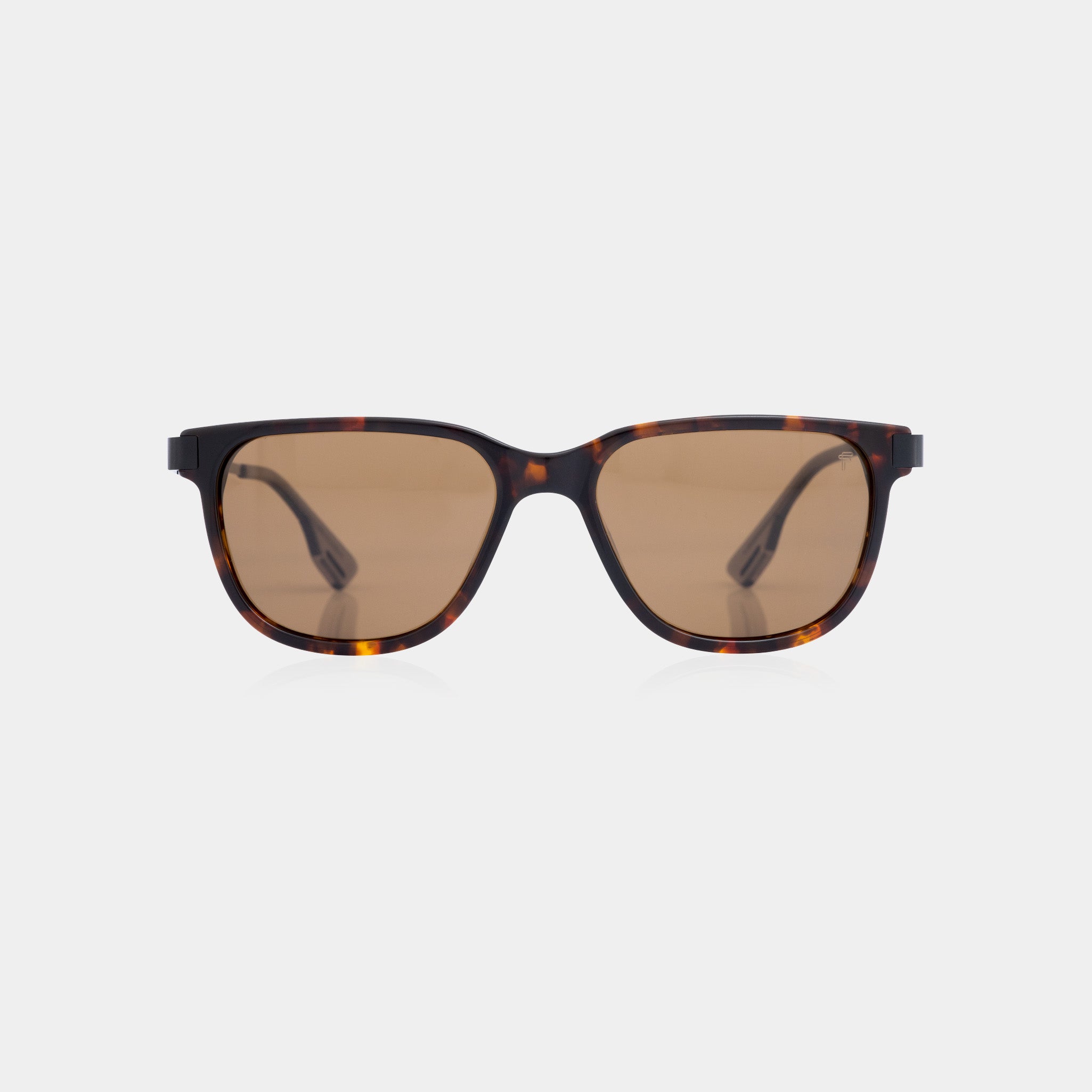 Specta Iron Tortoise sunglasses – bold acetate frame with tortoise and smoky brown tones.
